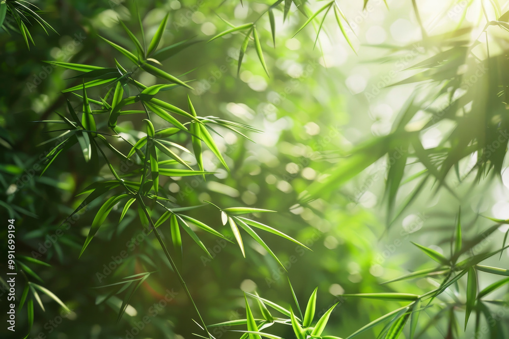 A lush green forest with many green bamboo trees A lush green forest with many green bamboo trees