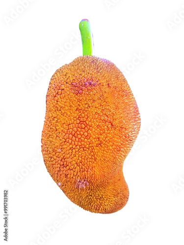 cempedak on the plain background