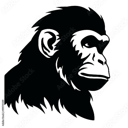 chimpanzee chimp  silhouette vector illustration  transparent background photo