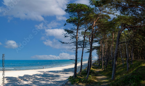 Fototapeta Naklejka Na Ścianę i Meble -  Baltic sea coast. Pine forest on the beach. Kolobrzeg, Poland