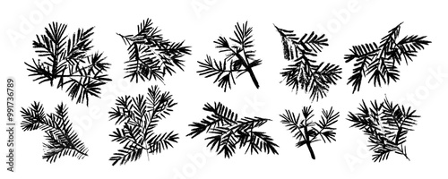 Collection with had drawn seaweed . Hand drawn plants botanical texture. Great for fabric, textile, apparel, walloper, digital paper