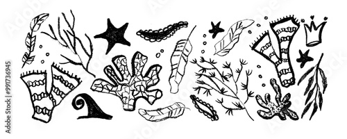 Collection with had drawn seaweed . Hand drawn plants botanical texture. Great for fabric, textile, apparel, walloper, digital paper