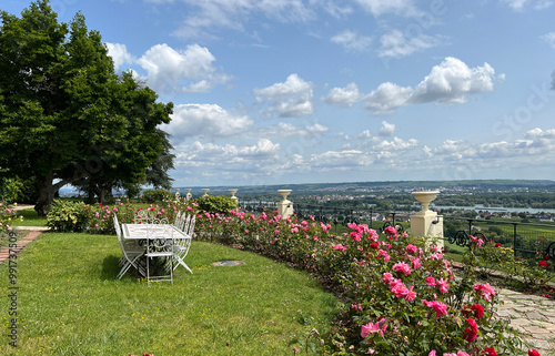 view from Schloss Johannisberg, Rheingau
