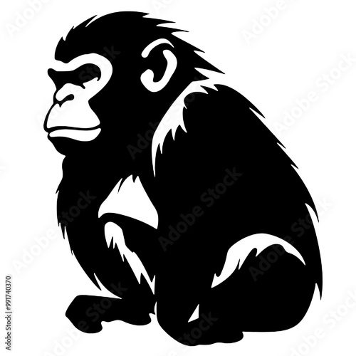 chimpanzee chimp  silhouette vector illustration  transparent background photo