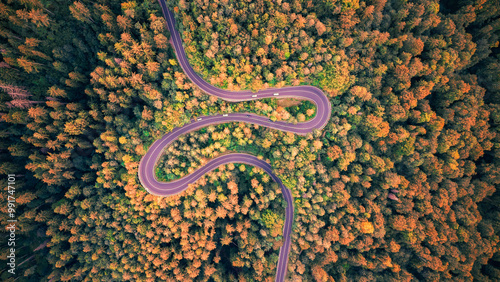 Aerial drone view of a winding mountain road in the Carpathians, cutting through dense forests and rugged terrain.