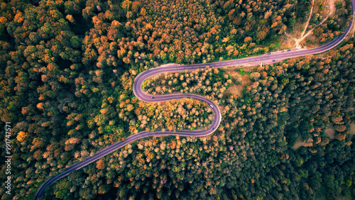 Aerial drone view of a winding mountain road in the Carpathians, cutting through dense forests and rugged terrain.