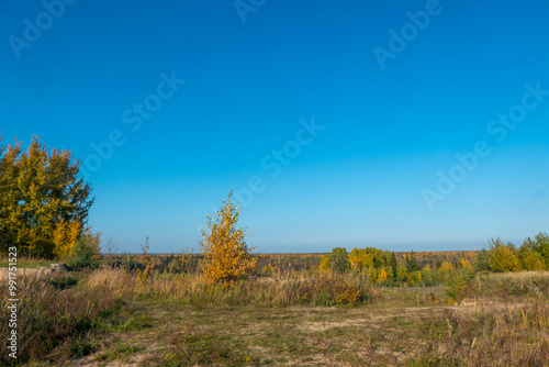 Obraz na płótnie Panorama. Lonely beautiful autumn tree. Autumn Landscape. High quality photo w salonie