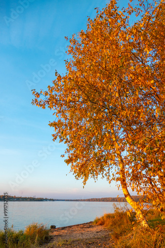 Obraz na płótnie Colorful autumn landscape with birch grove with golden foliage on the shore of the lake and beautiful reflections at sunset. High quality photo w salonie