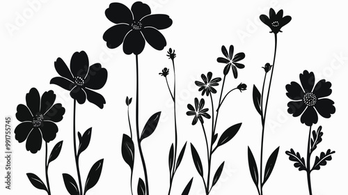 Flowers Plants Silhouette Isolated on white background Vector Illustration