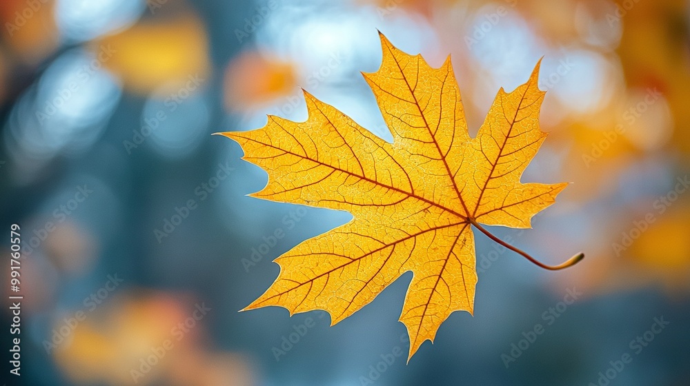 Obraz premium A sharp focus on a vibrant yellow leaf against a softly blurred backdrop of foliage in the foreground