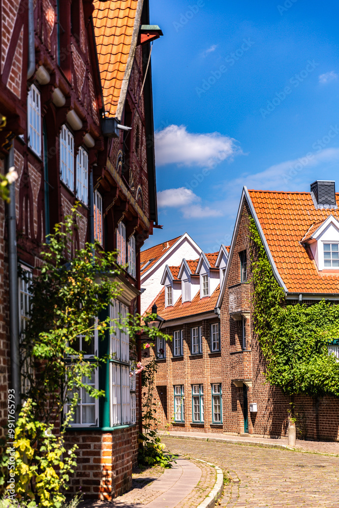 Fototapeta premium Lüneburg