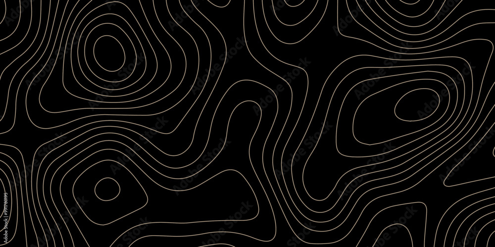 Abstract wave paper curved reliefs background .gradient multicolor wave curve lines banner background design .topographic contours map background .Vector geographic contour map. Abstract wave paper curved reliefs background .gradient multicolor wave curve lines banner background design .topographic contours map background .Vector geographic contour map.