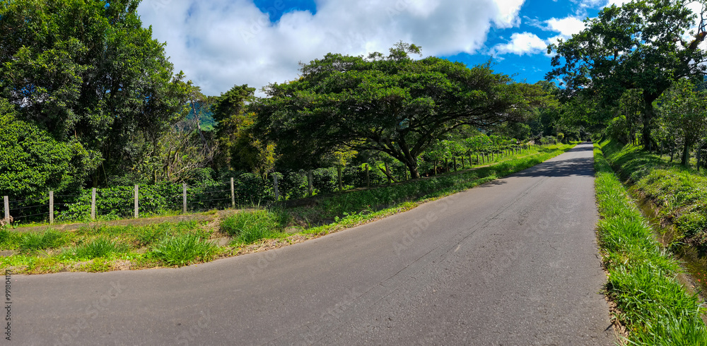 Panama, Boquete, road through tropical jungle Panama, Boquete, road through tropical jungle
