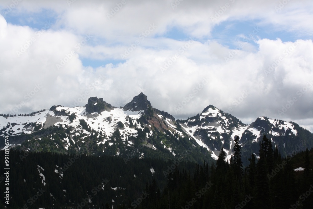 Obraz premium Mt. Rainier 5