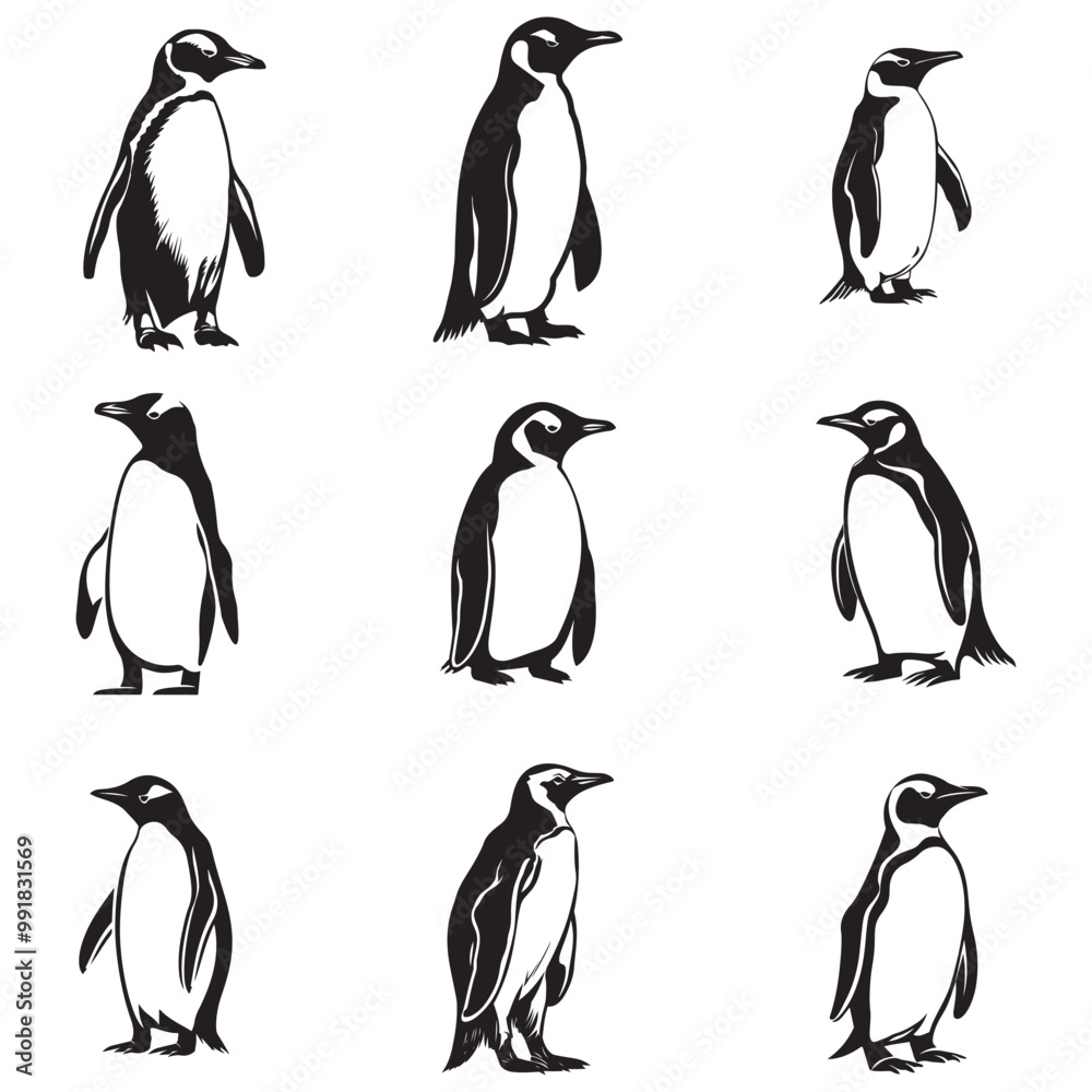 Obraz premium Penguin Silhouette Vector Art Illustration, Animal Isolated On White Background, Penguin Silhouette