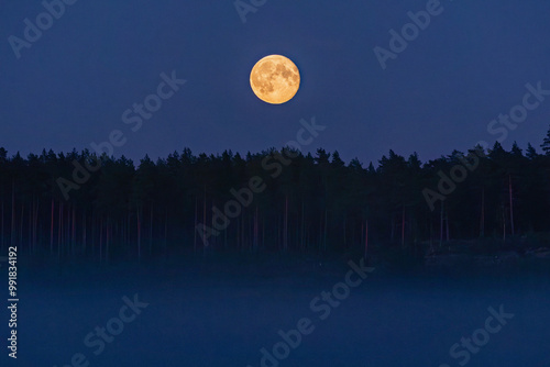 full moon over the forest