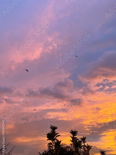 Photography Sunset in Vegas with birds and plane