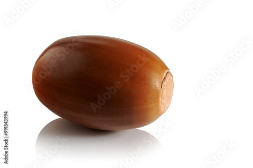 Ripe acorn on a white background