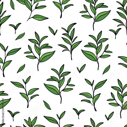 Green tea leaves pattern. Hand drawn branches and leaves on white background.