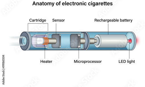 Electronic Cigarette Anatomy Medical Illustration, Vaping Device Internal Structure