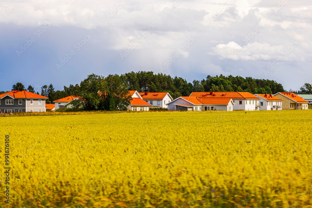 View from moving vehicle of houses with orange roofs near large wheat field under cloudy sky. Sweden. View from moving vehicle of houses with orange roofs near large wheat field under cloudy sky. Sweden.