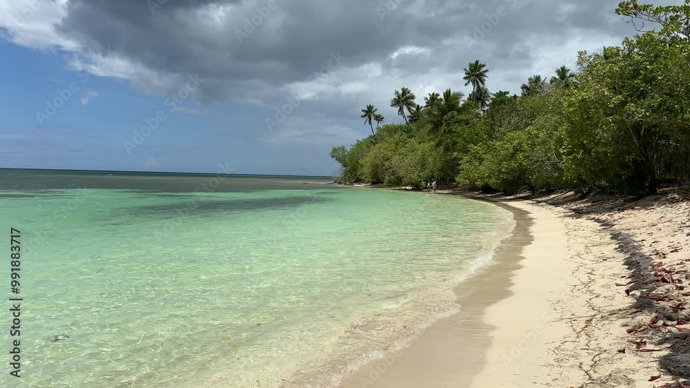 Beautiful tropical beach Playa Buyé in Cabo Rojo, Puert Rico, USA, sandy beach, crystal clean water and palm trees Beautiful tropical beach Playa Buyé in Cabo Rojo, Puert Rico, USA, sandy beach, crystal clean water and palm trees