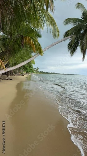 Beautiful tropical beach in Rincón, Puerto Rico Bunny Spot beach, cloudy beach with plams during dusk and sunset, coconut palm trees