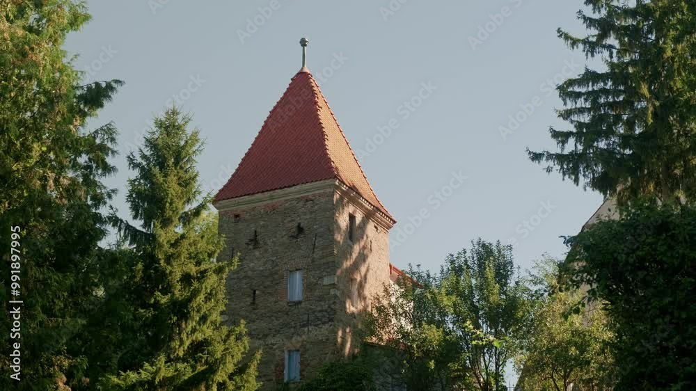 A picturesque tower that is beautifully surrounded by vibrant green trees beneath a clear blue sky above A picturesque tower that is beautifully surrounded by vibrant green trees beneath a clear blue sky above