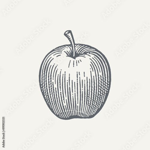 Apple. Vintage woodcut engraving style vector illustration.