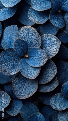 Close-up view of textured blue foliage showcasing intricate leaf patterns in natural light during early spring