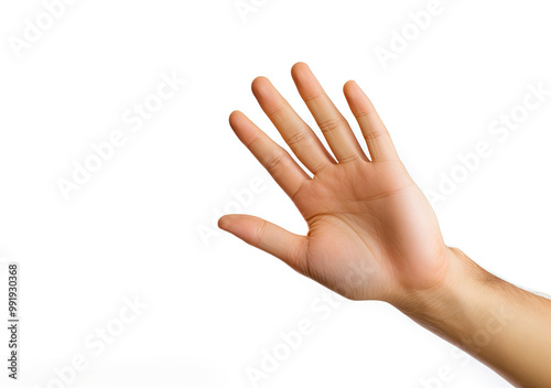 Open Hand Gesture, Five Fingers, Palm Up