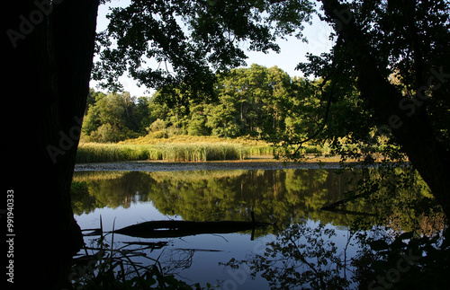 A view from the Igneada Longoz Forests is in Kirklareli, Turkey. photo