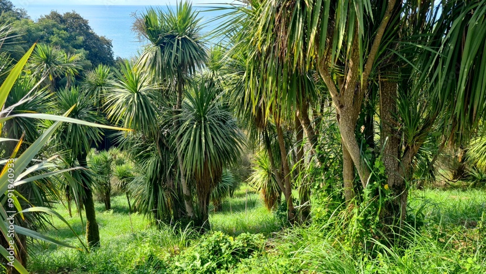 Obraz premium Bright tropical greenery, light wind, summer day