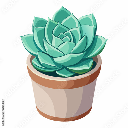 succulent rosette sitting in a ceramic pot