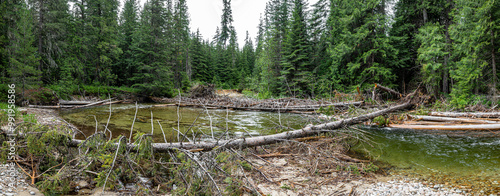 Caribou Creek in Idaho in Spring photo