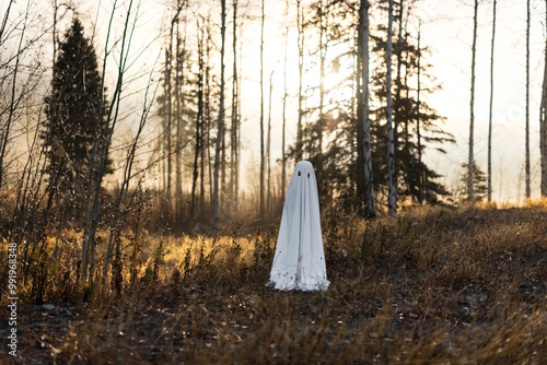 Child dressed in ghost costume for Halloween in spooky backlit forest