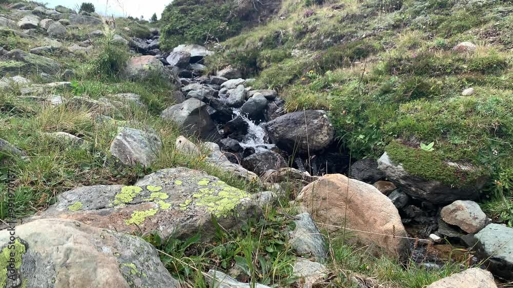 A wild stream in the mountains through a stony creek bed in the middle of the nature of the Alps - static shot A wild stream in the mountains through a stony creek bed in the middle of the nature of the Alps - static shot