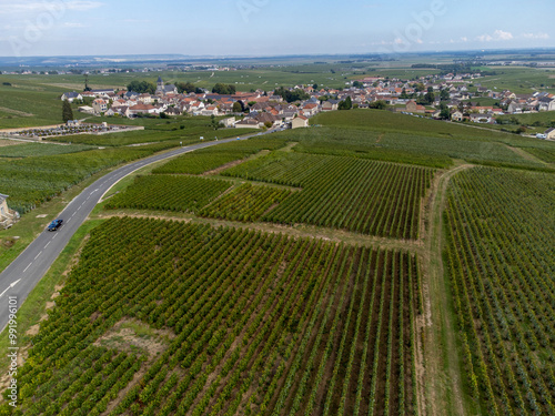 Aerial view on green grand cru vineyards near Oger and Mesnil-sur-Oger, region Champagne, France. Cultivation of white chardonnay wine grape on chalky soils of Cote des Blancs photo