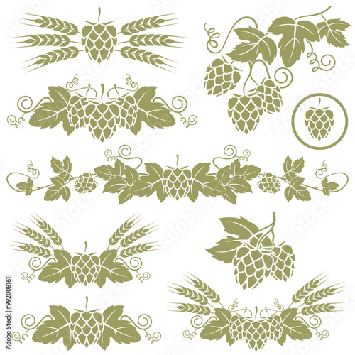 collection of hops for brewing isolated on white background