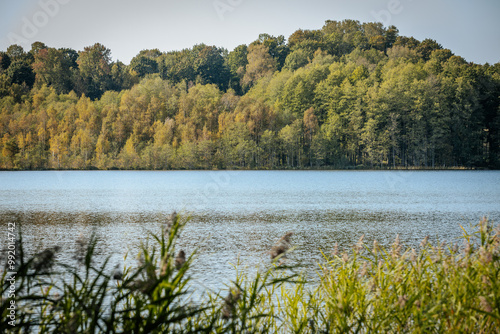 A serene view of Augstroze Lake, with calm blue waters in the foreground and a tree-lined shore in the distance. The trees exhibit early autumn colors, under a clear sky.