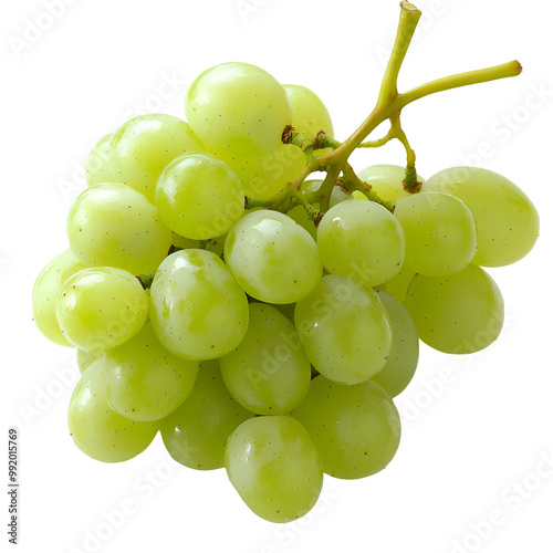  Seedless Fruits - Thompson Seedless Grapes. A cluster of Thompson Seedless Grapes with a light green color, isolated on transparent backdrop.