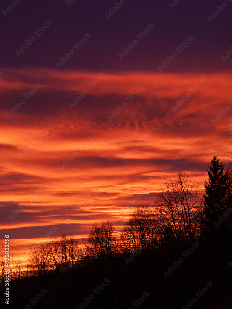 Fototapeta premium Stunning sunrise with a sky filled with vibrant orange hues and dramatic cloud formations. Silhouetted trees create a striking contrast against the colorful and picturesque autumn morning scenery.