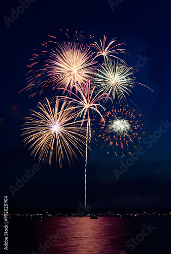 Obraz na płótnie Multi-burst Fireworks 118-141 w salonie