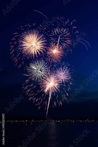 Obraz na płótnie Multi-burst Fireworks 56-126 w salonie