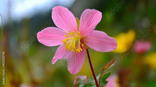 Wildflowers in pink and yellow dot the landscape.