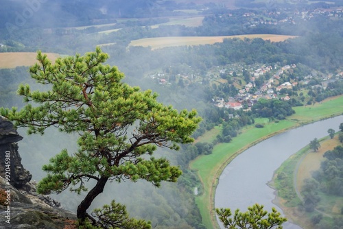 After the rain lone tree braving the elements on a rocky cliff overlooking a misty landscape of a small town by the river. photo