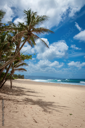 Scenic view of Banzai Beach on the island of Oahu, Hawaii, USA against blue sky with clouds