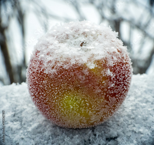 Frosted apple in a snowy landscape in La Clusaz, French Alps