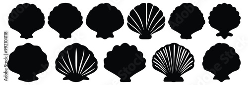 Seashell silhouette set vector design big pack of ocean illustration and icon