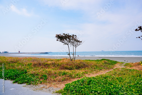 Kaohsiung, Taiwan, Republic of China, 01 25 2024: The landscape of Kaosiung Sizihwan Bay beach in Kaohsiung  photo